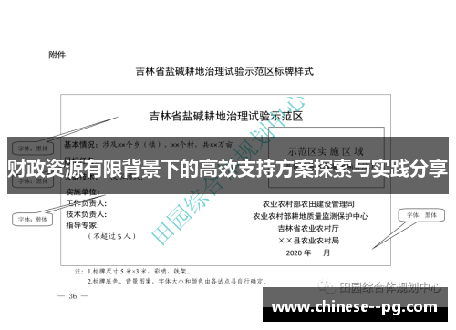 财政资源有限背景下的高效支持方案探索与实践分享