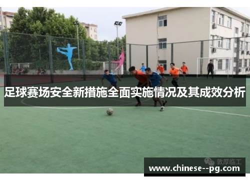 足球赛场安全新措施全面实施情况及其成效分析