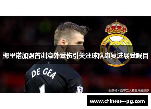梅里诺加盟首训意外受伤引关注球队康复进展受瞩目 梅里诺加盟首训意外受伤引关注球队康复进展受瞩目