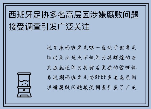 西班牙足协多名高层因涉嫌腐败问题接受调查引发广泛关注 西班牙足协多名高层因涉嫌腐败问题接受调查引发广泛关注