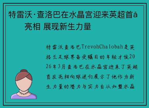 特雷沃·查洛巴在水晶宫迎来英超首发亮相 展现新生力量
