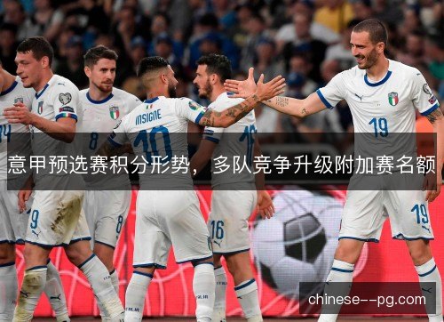 意甲预选赛积分形势，多队竞争升级附加赛名额